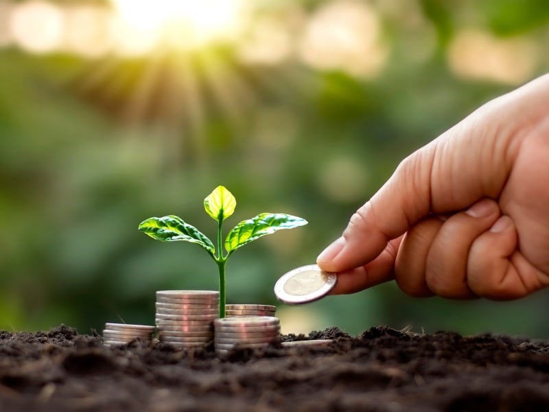 Personal Finance Basics: Income, Expenses, & Investments